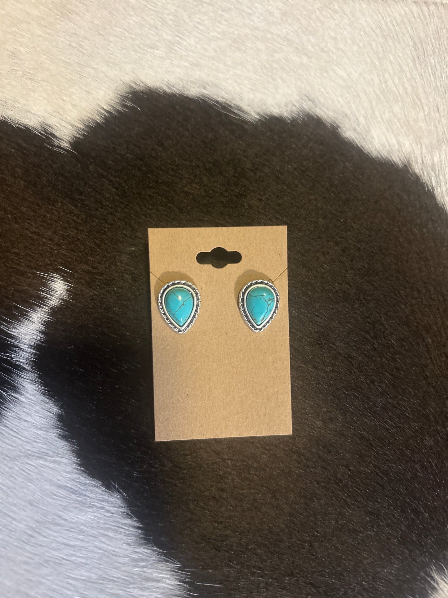 Faux Earrings