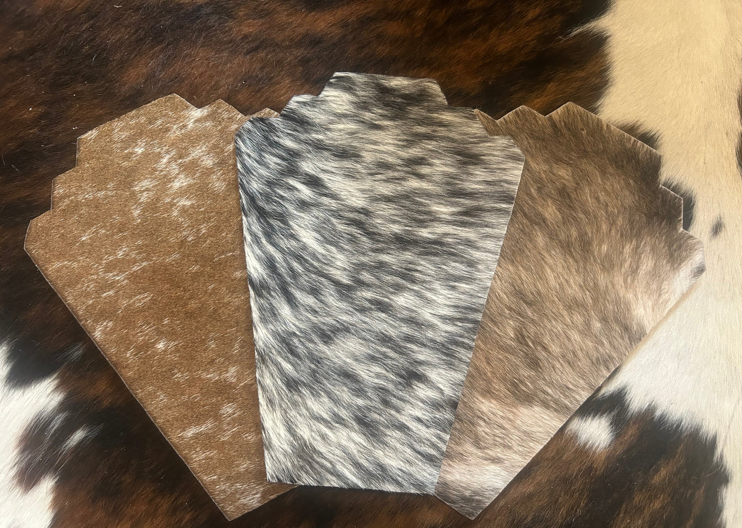 Cowhide Displays