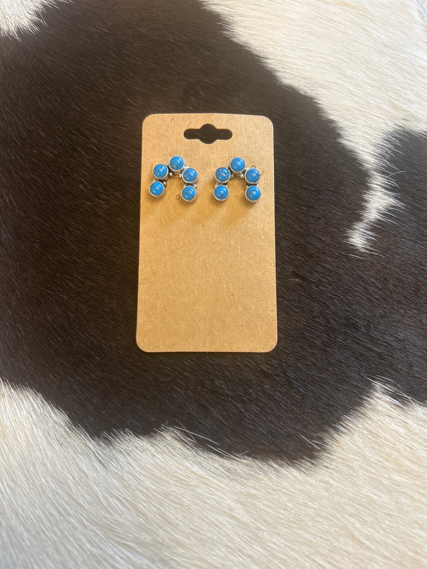 Faux Earrings