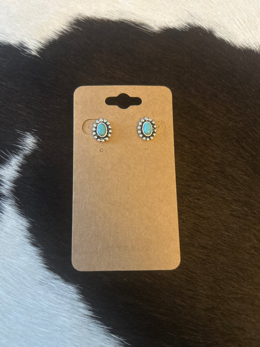 Faux Earrings