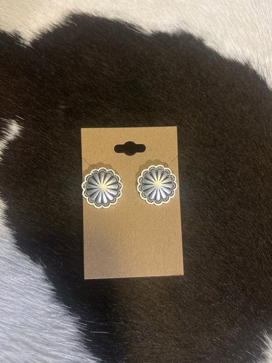 Faux Earrings