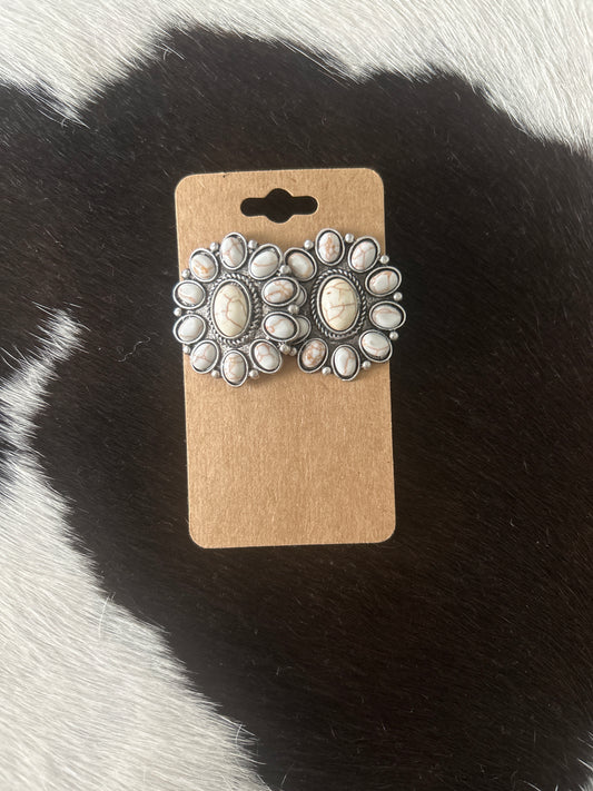 Faux Earrings