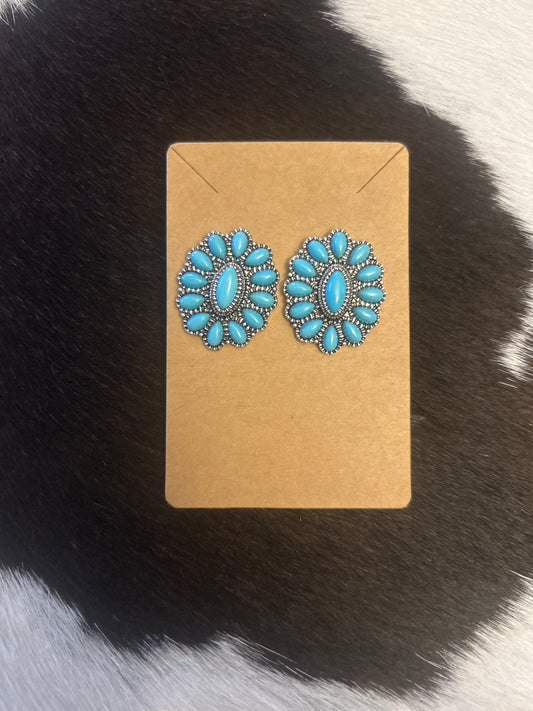 Faux Earrings