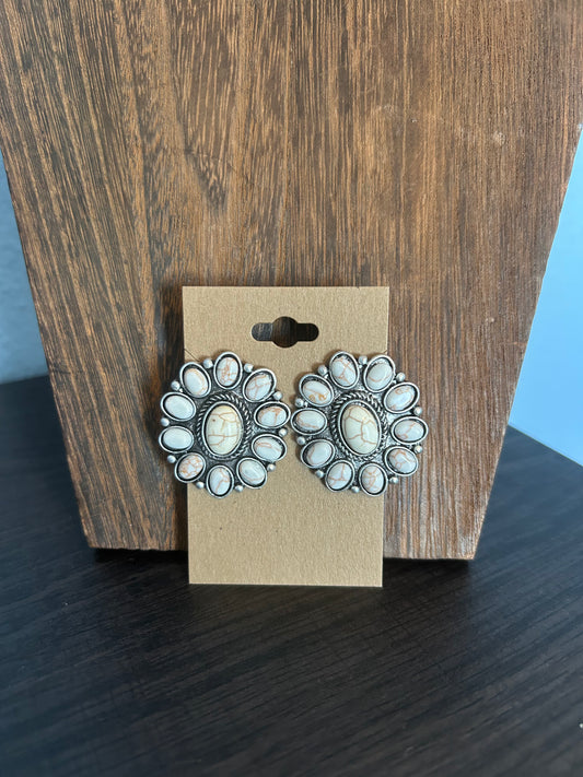 Faux Earrings