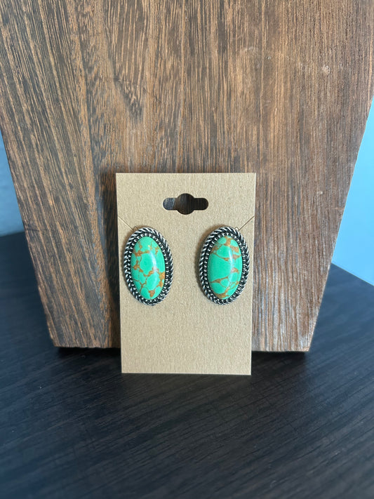 Faux Earrings