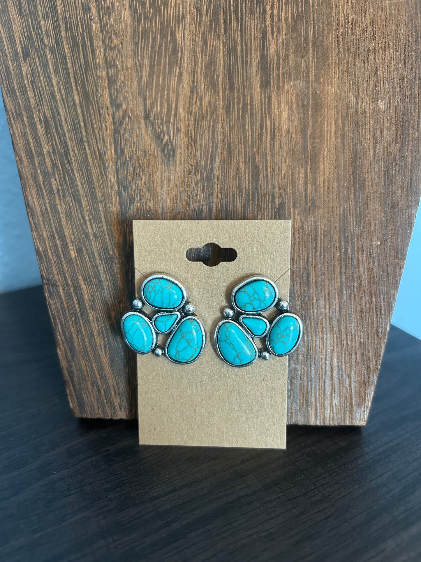 Faux Earrings