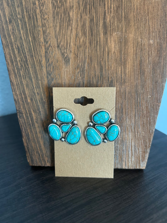 Faux Earrings